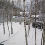Дом 152м 8сот в лесу г. Чехов д. Нижнее Пикалово с/т Полигон