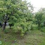 Продается дом Чеховский район поселок Столбовая ул Заводская, 28