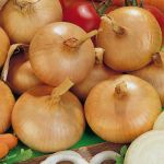 Продажа репчатого лука оптом