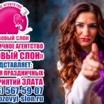 Тамада на свадьбу в Солнечногорске Зеленограде Клину.