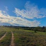 Cрочная продажа-Земельные участки-Супер расположение-Первая цена-Свежая нарезка
